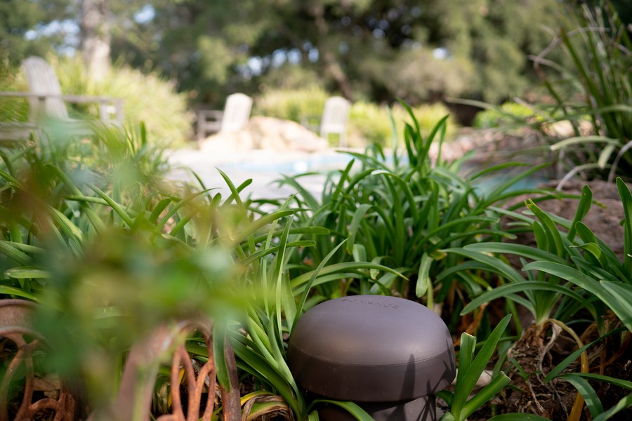 A burial subwoofer pokes out of the ground in a landscape audio system. 